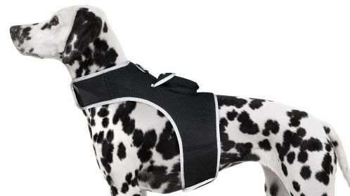 Portable GPS Phone Pet Tracker Realtime Wireless Surveillance for Dogs Size:L