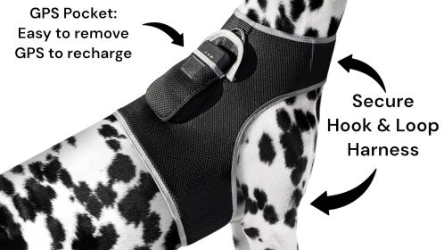 Set Pet Perimeter Boundary w/ Pet Tracker GPS Tracking Dog Collar Tracker Size:L